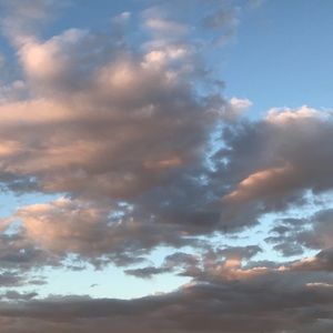 Meet your Posher, Elsa